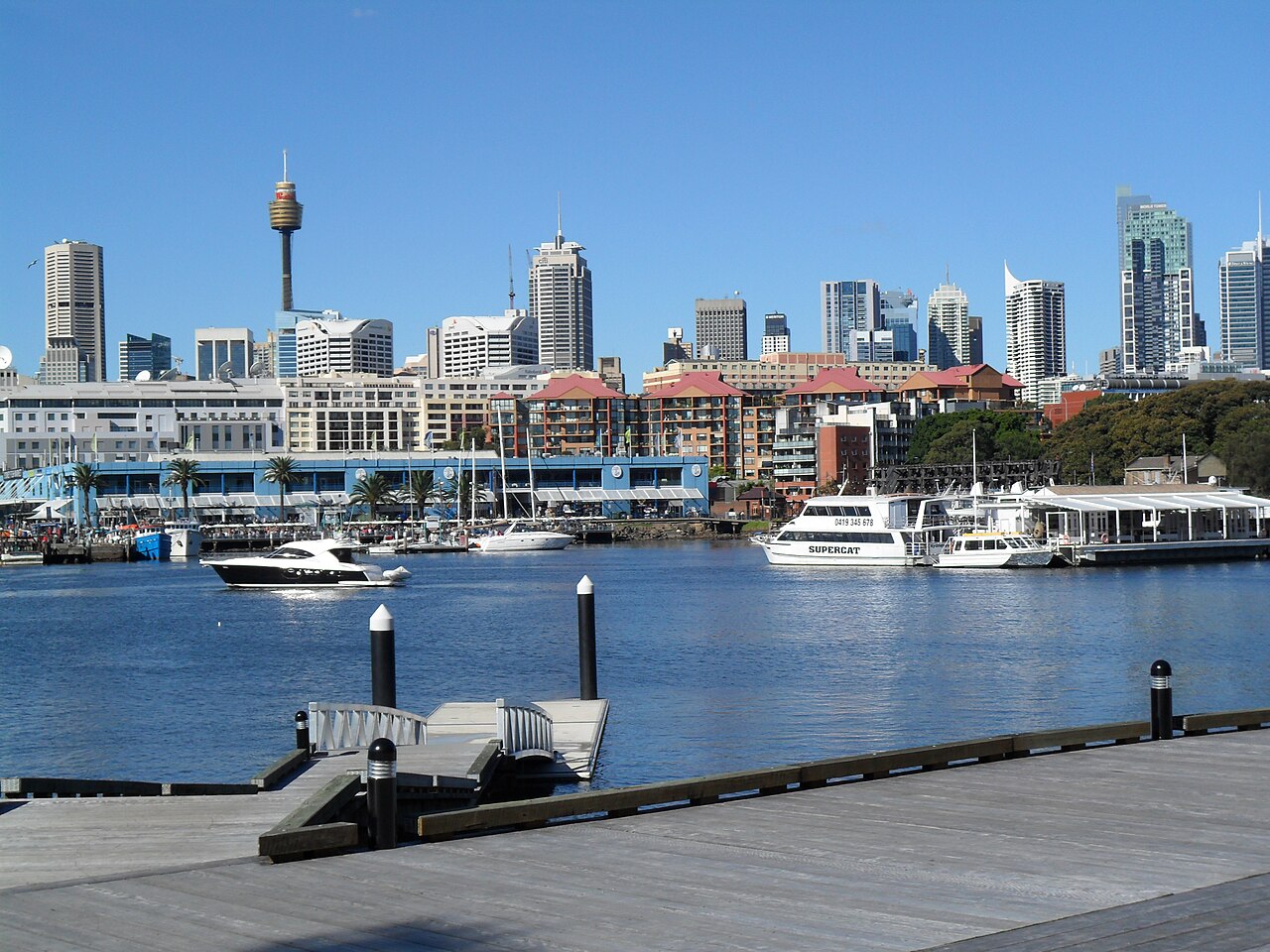 Blackwattle Bay Marina, Pyrmont, Australia